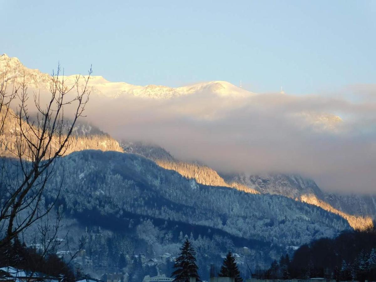 Alpineview * Sinaia