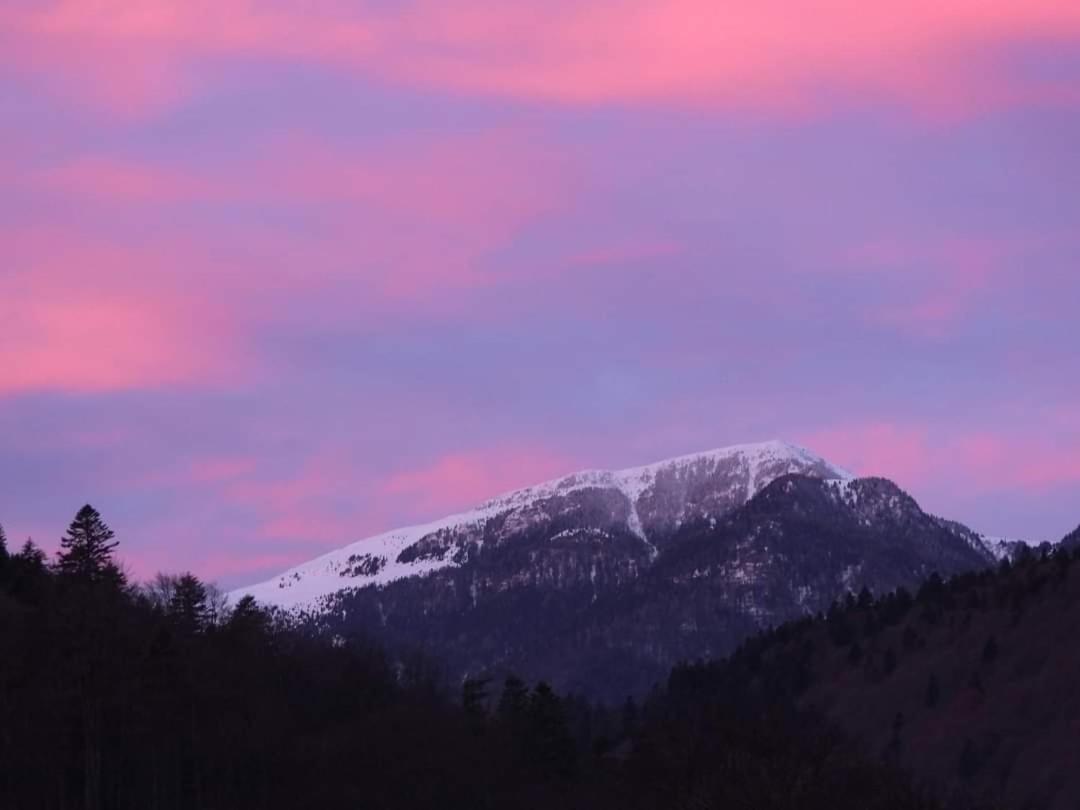 Alpineview Sinaia