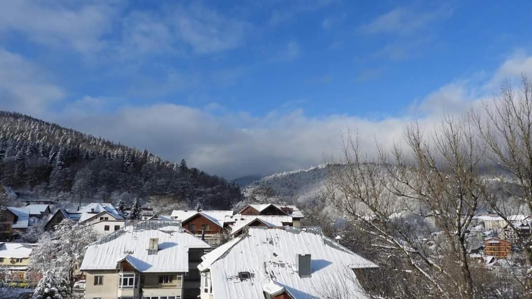 Alpineview *