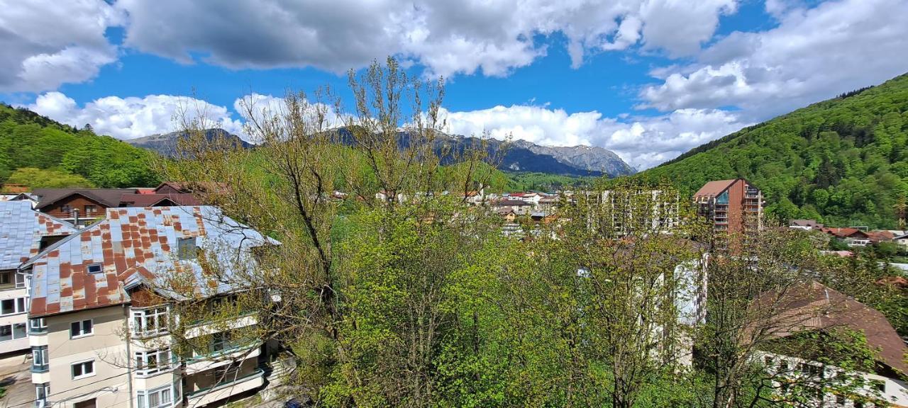 Apartment Alpineview