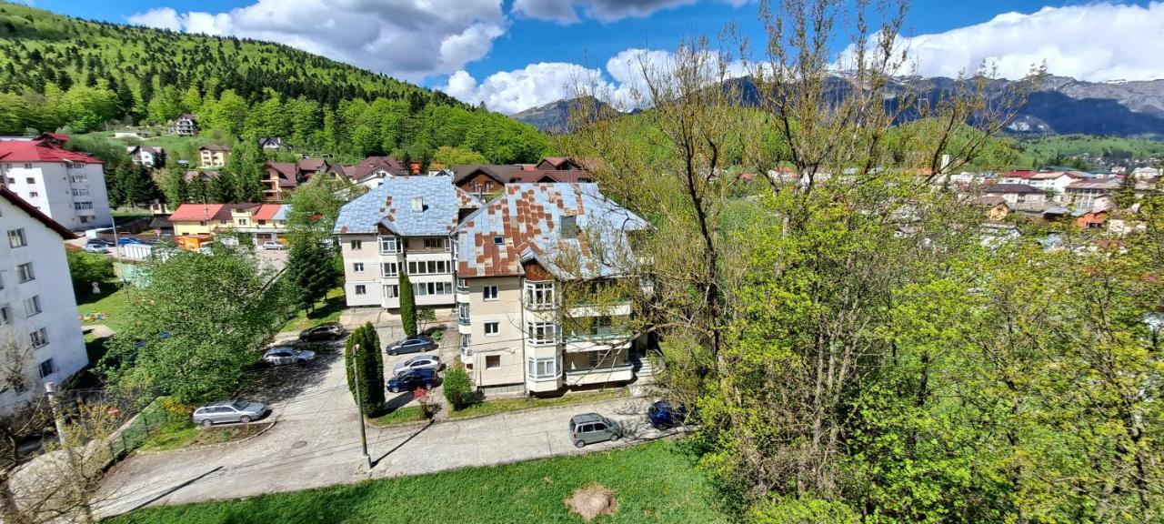 Apartment Alpineview
